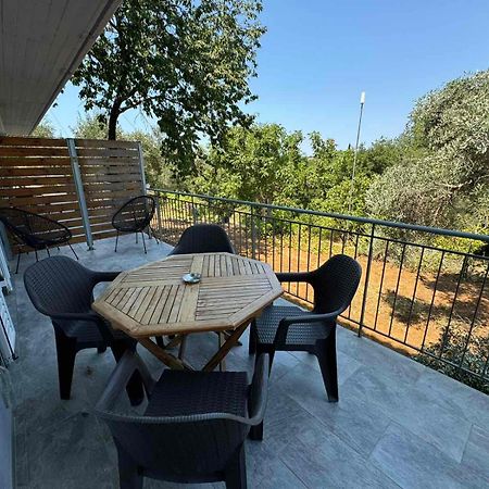 Alexander Apartments Σπαρτιά Εξωτερικό φωτογραφία