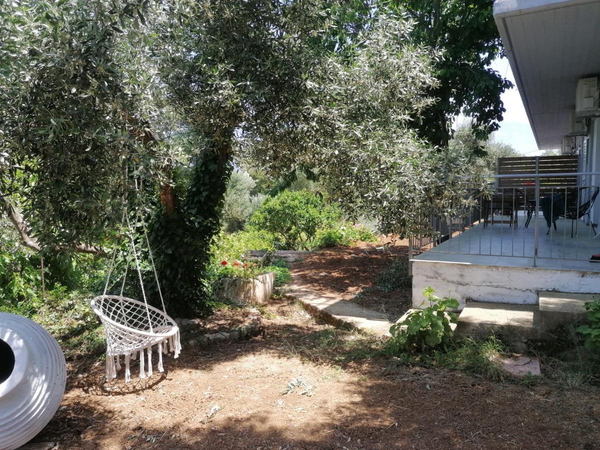 Alexander Apartments Σπαρτιά Εξωτερικό φωτογραφία