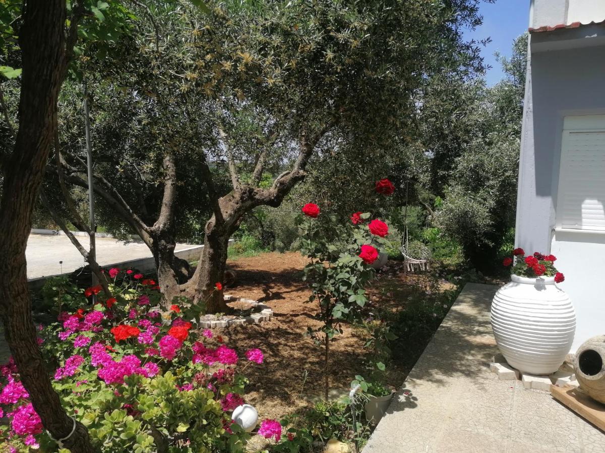 Alexander Apartments Σπαρτιά Εξωτερικό φωτογραφία