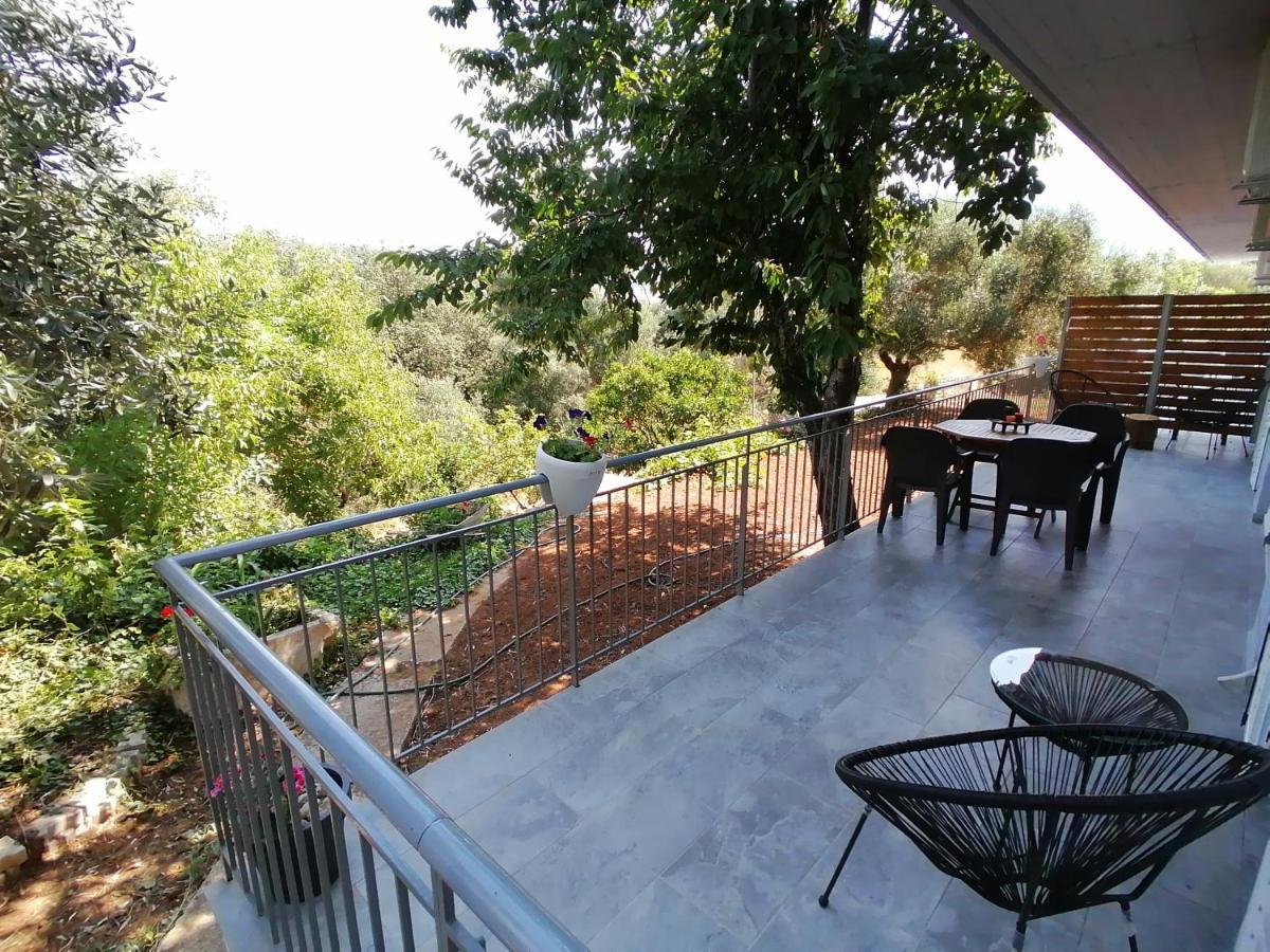 Alexander Apartments Σπαρτιά Εξωτερικό φωτογραφία