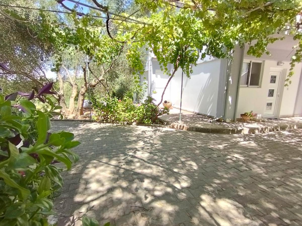 Alexander Apartments Σπαρτιά Εξωτερικό φωτογραφία